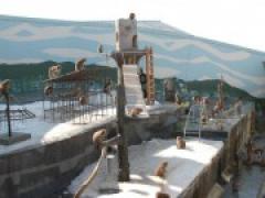 熱帯植物園に行ってきました! ~年長さんがサルに餌をあげたよ~