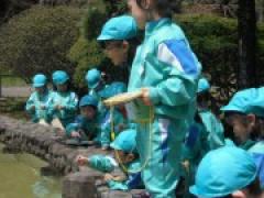 まちにまった お花見(年長そらぐみさん)