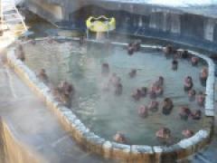 熱帯植物園に行ってきました~