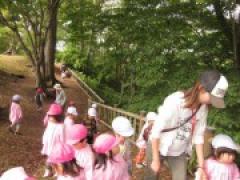 秋さがし第2弾 香雪園へ行って来たよ!(年少編)