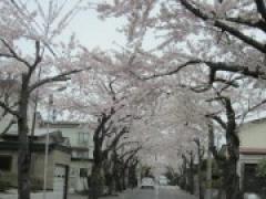 バスツアーで五稜郭方面ひとまわり!