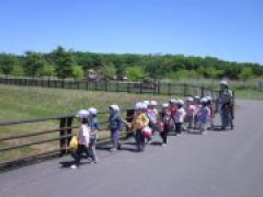 年少さん遠足に行ってきました!