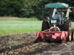 いもほりに行ってきました★(年中版)