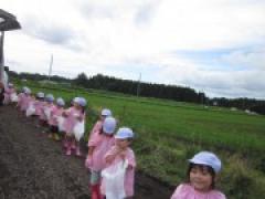 いもほりに行ってきました!(年少版)