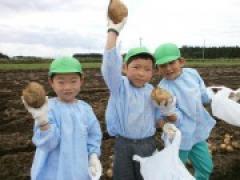 いもほりに行ってきました♪年長編