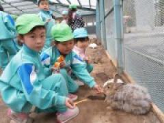 ふれあい牧場に行ってきました~年長さん