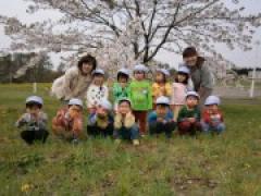 はじめての園外保育に行ってきました。(お花見)