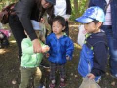 ~秋を探しに公園へ行ってきました~