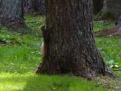 秋、みーつけた!☆年中☆