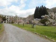 にじ・ほし探検隊!~森の中にお城!?の巻~