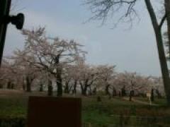 ドライブへレッツゴー!(年少)