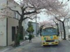 ★お花見してきました★(年長)