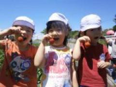 楽しかったいちごがり♪ (年少)