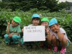 ジャガイモ観察 ~年長さん~