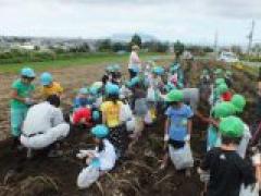 ジャガイモ(きたあかり)掘り楽しかったよ