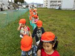 にじ・ほし探検隊~チクチクの正体は!?~