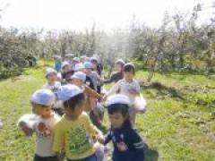 楽しかったりんご狩り♪  ~年中少~