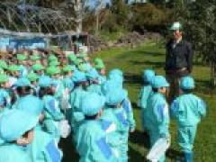 真っ赤で美味しそうなリンゴ採ってきたよ!! ~年長さん~