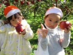 つやつや真っ赤なりんごとったよ🍎~年中~