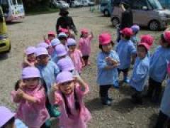 イチゴ狩りに行ってきたよ🍓~年少~