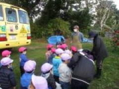 おいしいりんご🍎まっかなりんご見つけたよ!(年少)