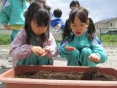 大きくな~れ🌱~年中~
