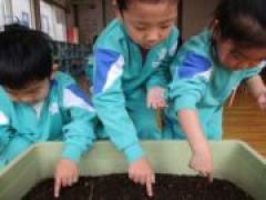 ベビーキャロット🥕~年中~