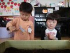 大きくなーれ🌱~年少~