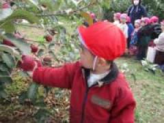 真っ赤なりんごみ~つけた!🍎~全学年~